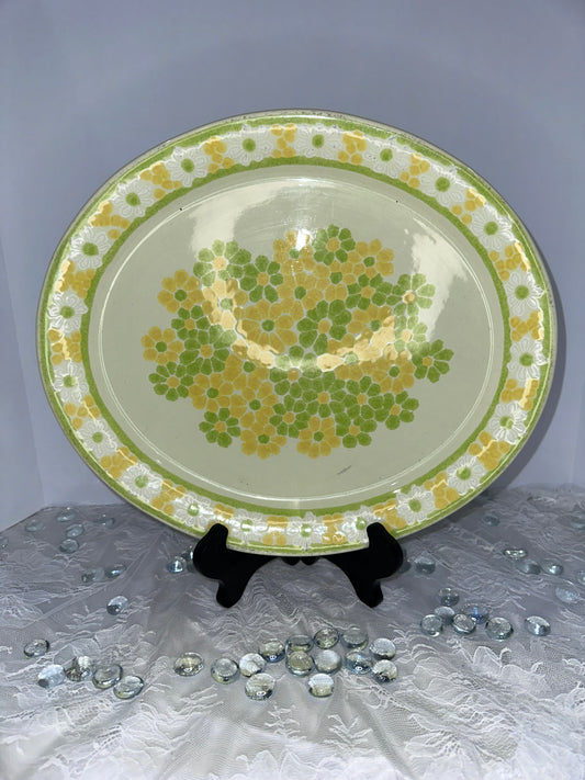 Franciscan Picnic MCM Oval Platter