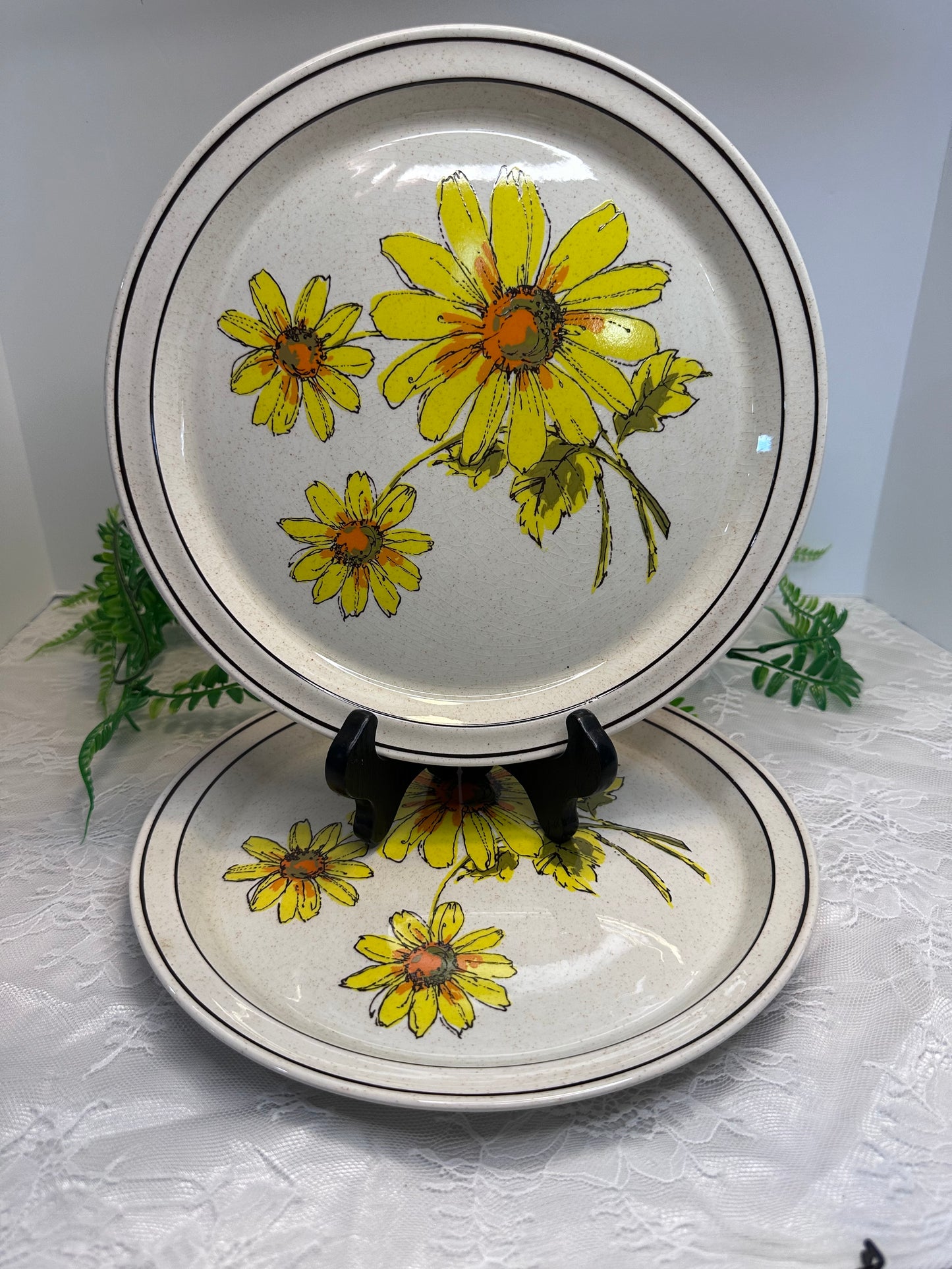 Vintage Shamrock Irish Stone CHARLEEN 10 1/2" Floral Dinner Plates - Set of 2