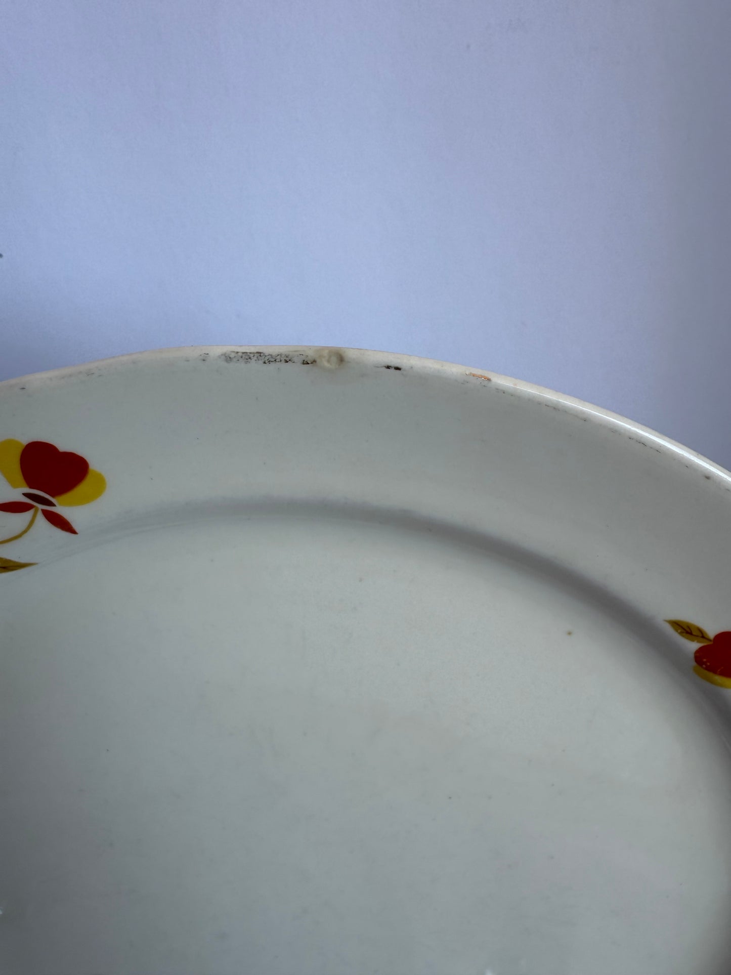 Superior Hall Autumn leaves plate