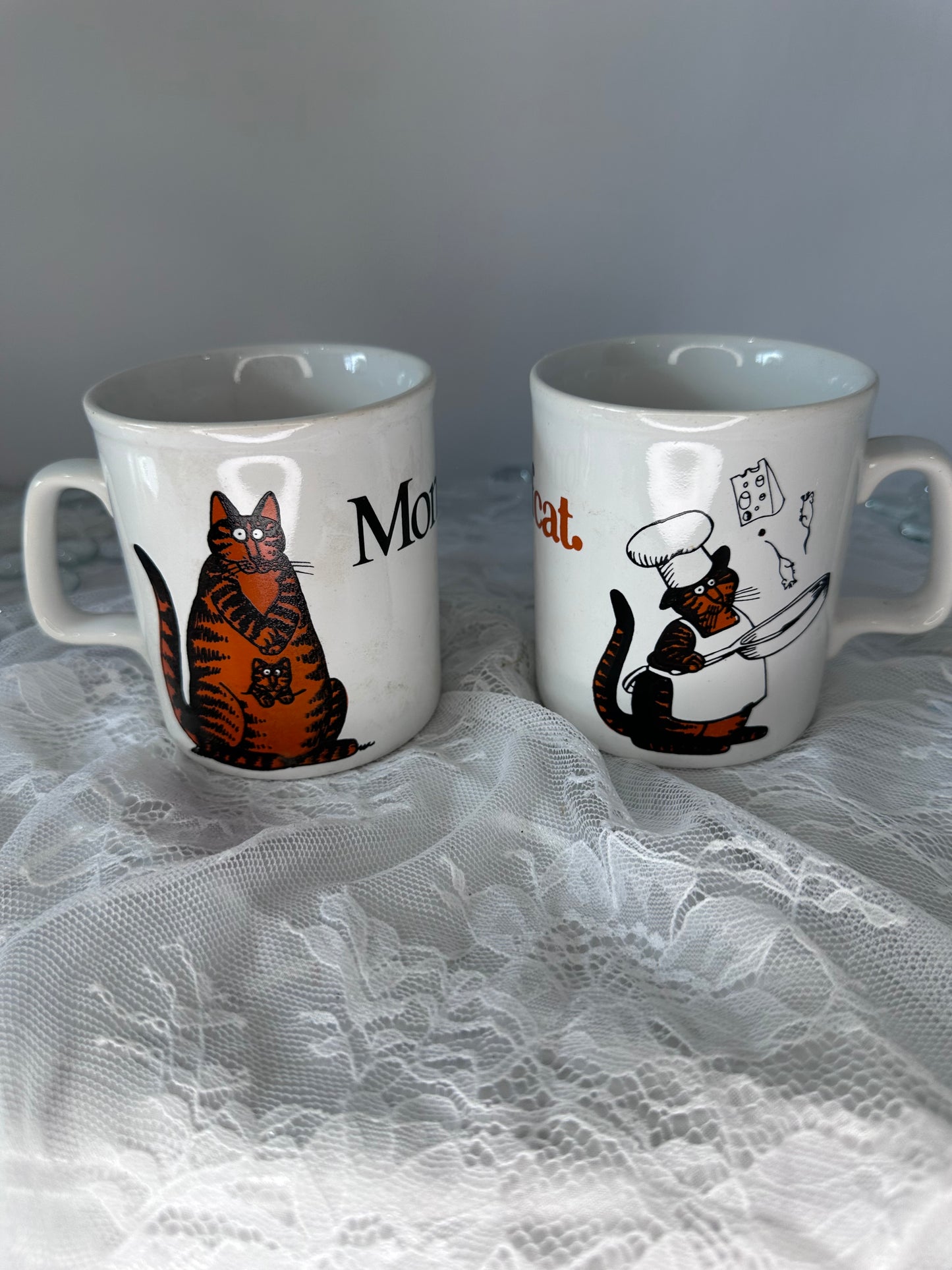 Set of 5 Cat mugs
